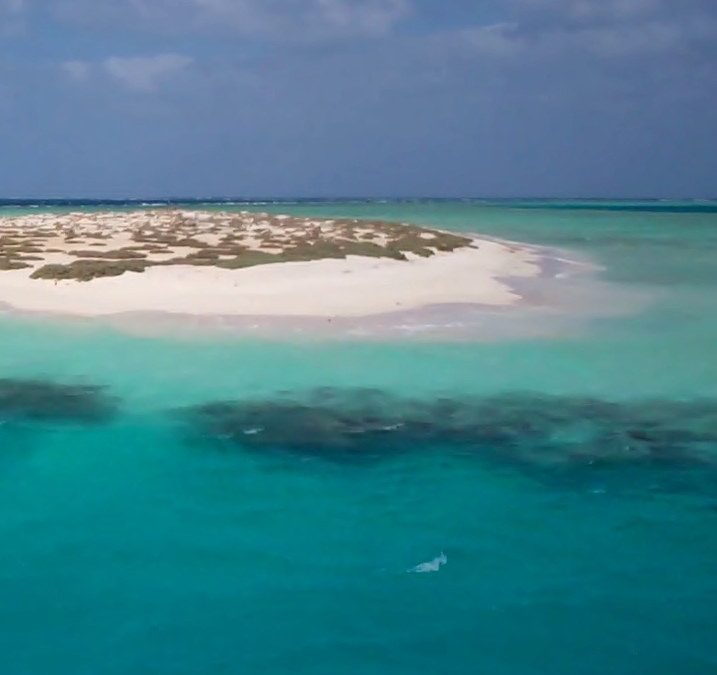 Wir finden für jeden den perfekten Traumstrand