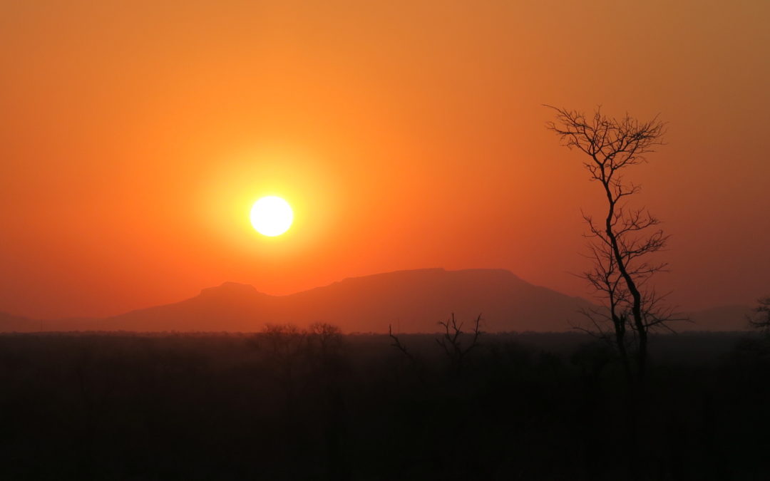 Erleben Sie die Vielfalt Südafrikas