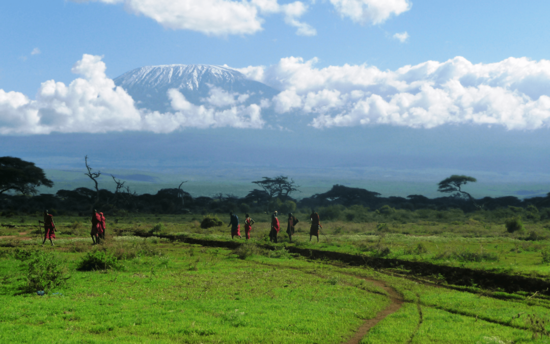 Auf Safari in Kenia