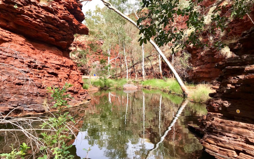 Die faszinierensten Schluchten im Karijini Nationalpark