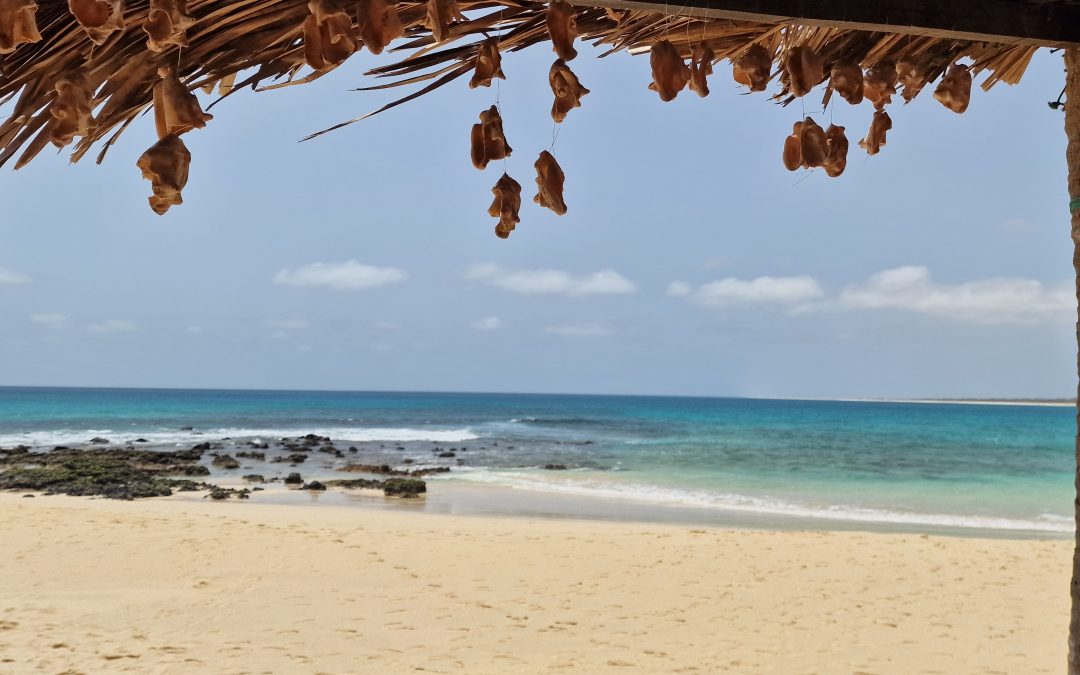 Boa Vista – Kapverden-Feeling mit No-Stress-Garantie