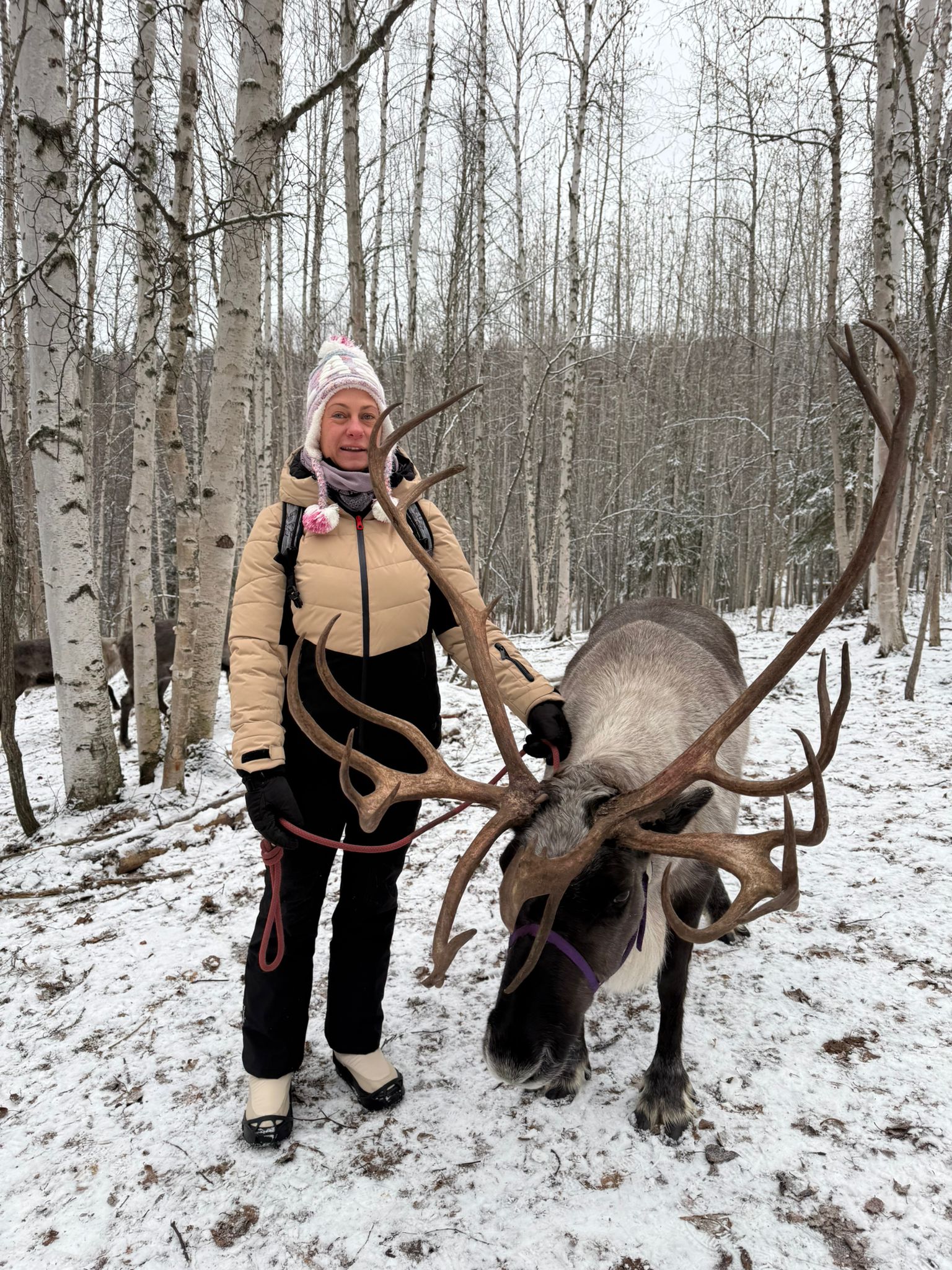 Stefanie von Levern-Wilke