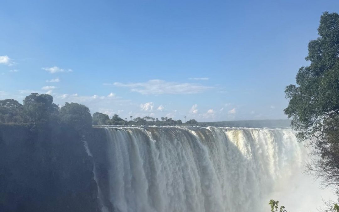 Gruppenreise „Okavango-Lilie“ –Magische Momente in Botswana