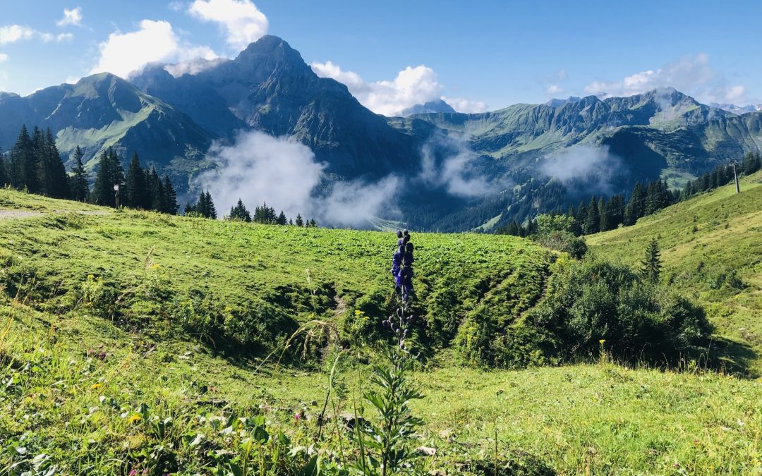 Aktiv- und Wellnessurlaub im Kleinwalsertal