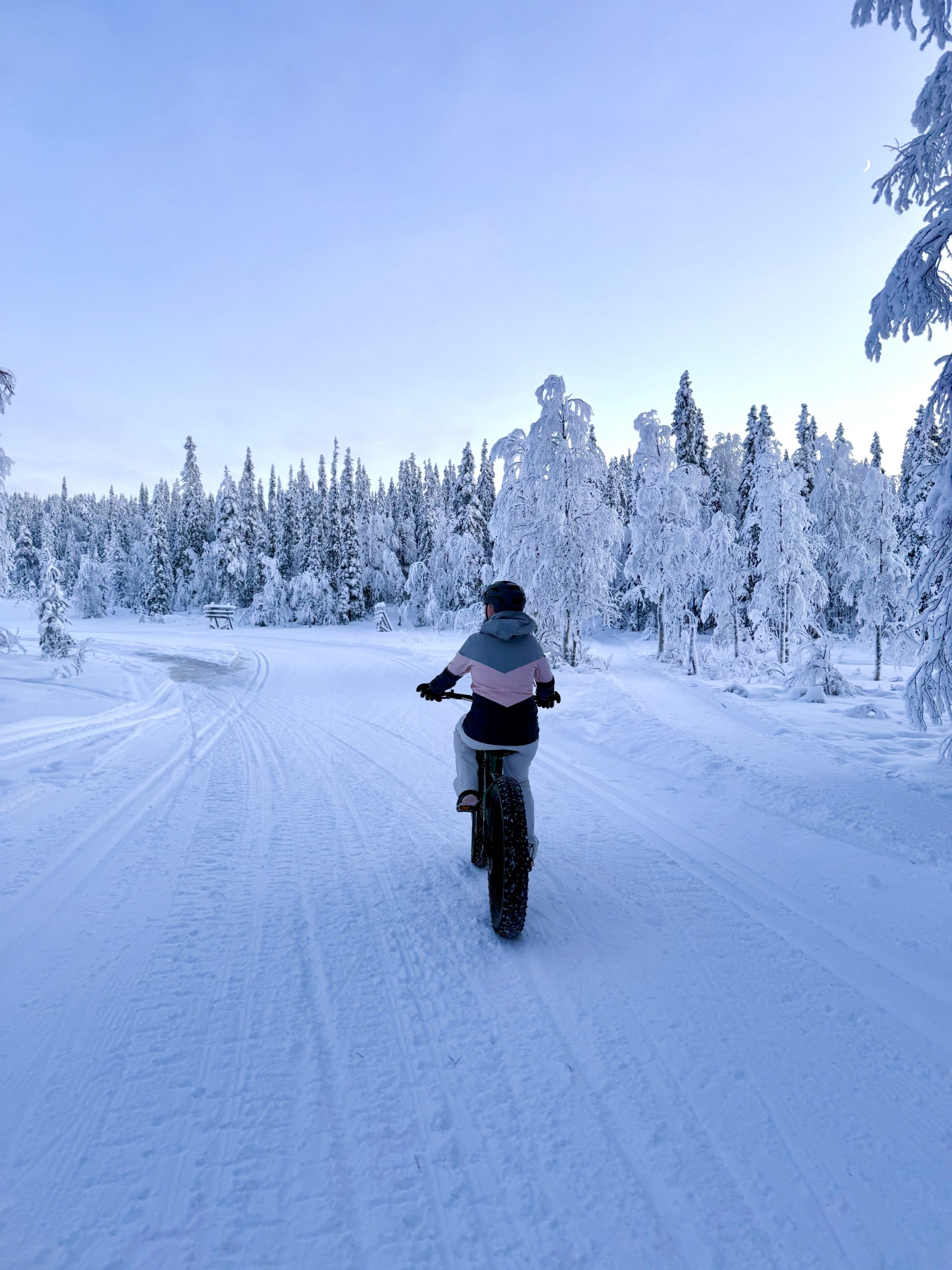 Lappland ist kein Reiseziel. Es ist ein Gefühl.