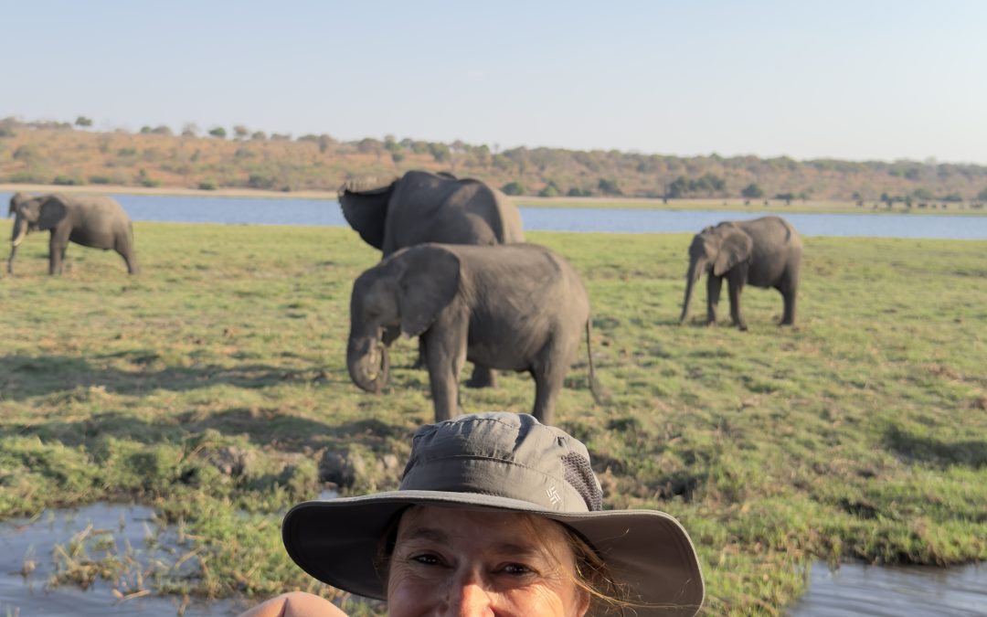 Botswana, Namibia & Simbabwe – Afrika hautnah erleben